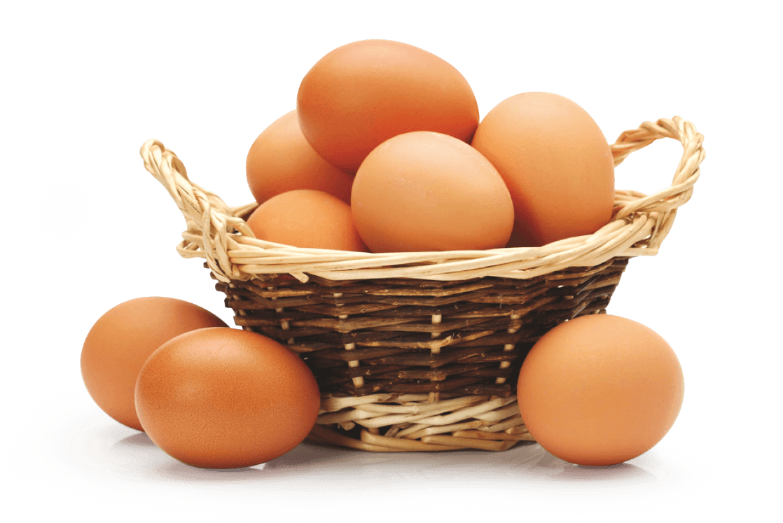 Cesta de ovos fabricados na vale orgânico